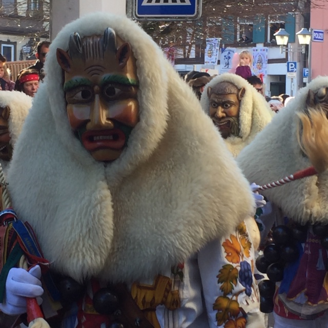The Swabian Alemannian Carnival